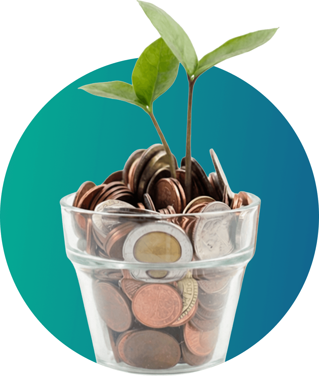 Blended Finance Concept